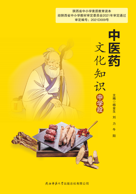 ✨コロナウィルス✨ 中国郷土手工芸 陝西師範大学出版 2004年初版 本